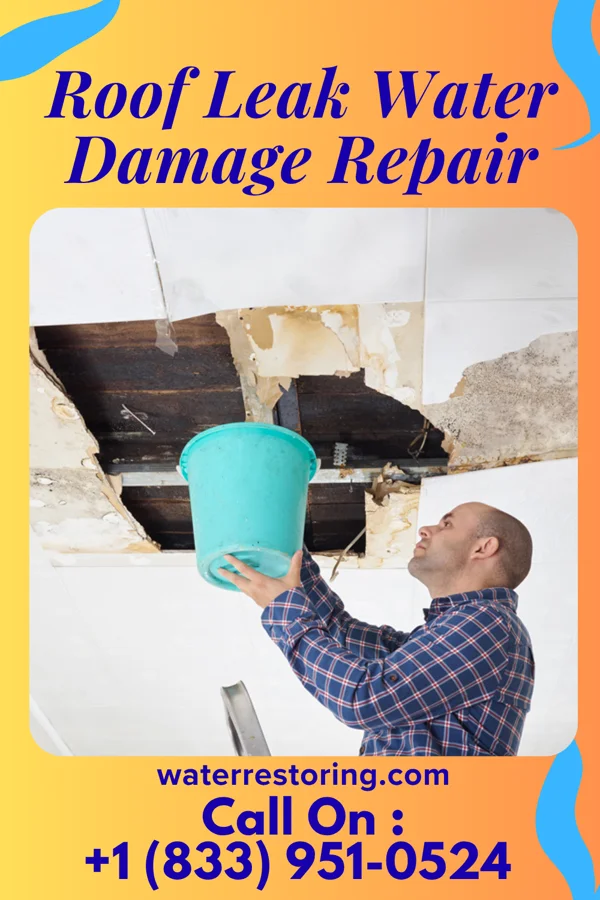 Roof Leak Water Damage Repair in Dripping Springs, OK